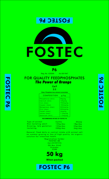 Fostec P6 web